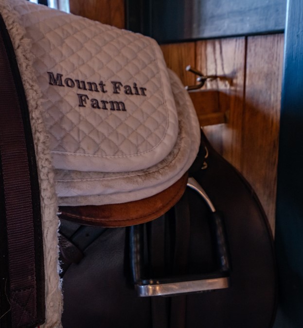 Equestrian Mount Fair Farm